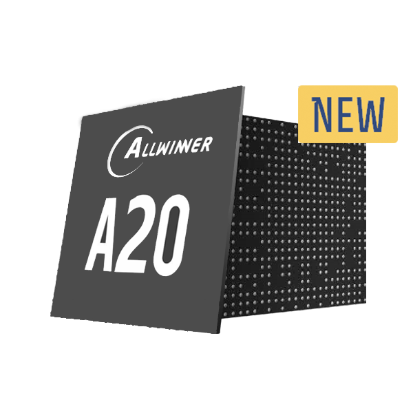 A20
